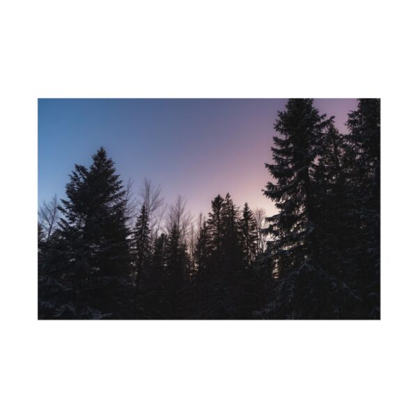 1994172320884434879_2048.jpeg Photo gagnante de décembre 2025