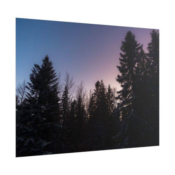 7389964386695194094_2048-1.jpeg Photo gagnante de décembre 2025