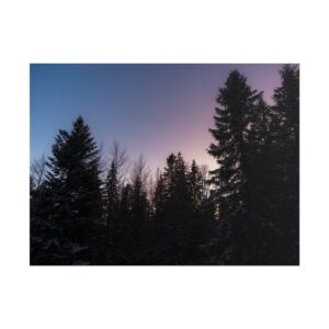 8433907462543846407_2048-1.jpeg Photo gagnante de décembre 2025