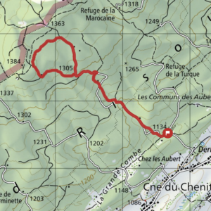 Confiture de Cynorhodon