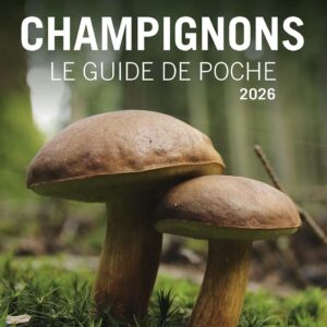Champignons, le guide de poche 2026