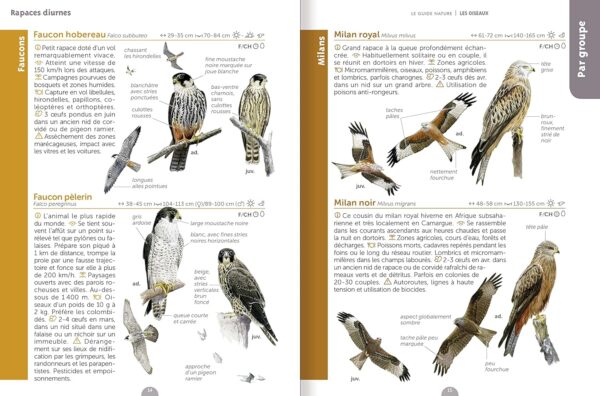 Le guide nature les oiseaux
