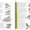 Le guide nature les oiseaux
