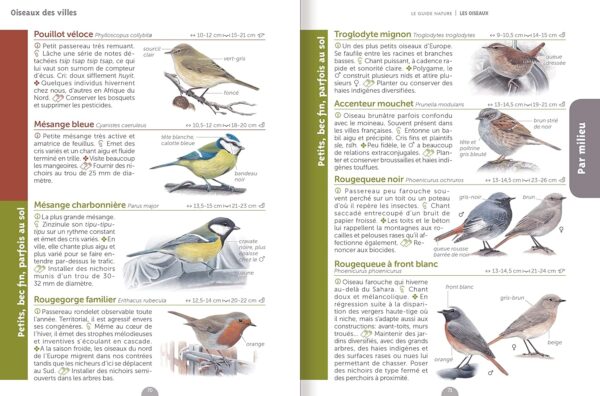 Le guide nature les oiseaux