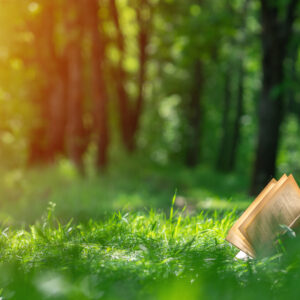 Confiture de Cynorhodon